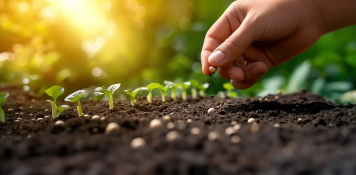 seed starting calculator